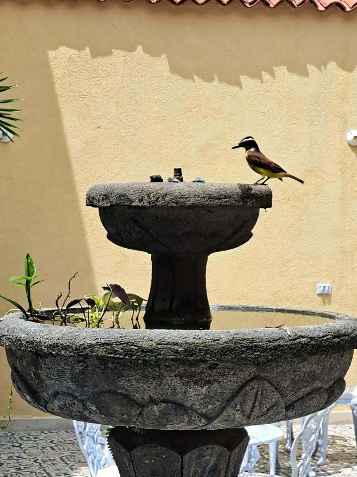 Casa Sileo - Boutique Hotel Cali Kültér fotó