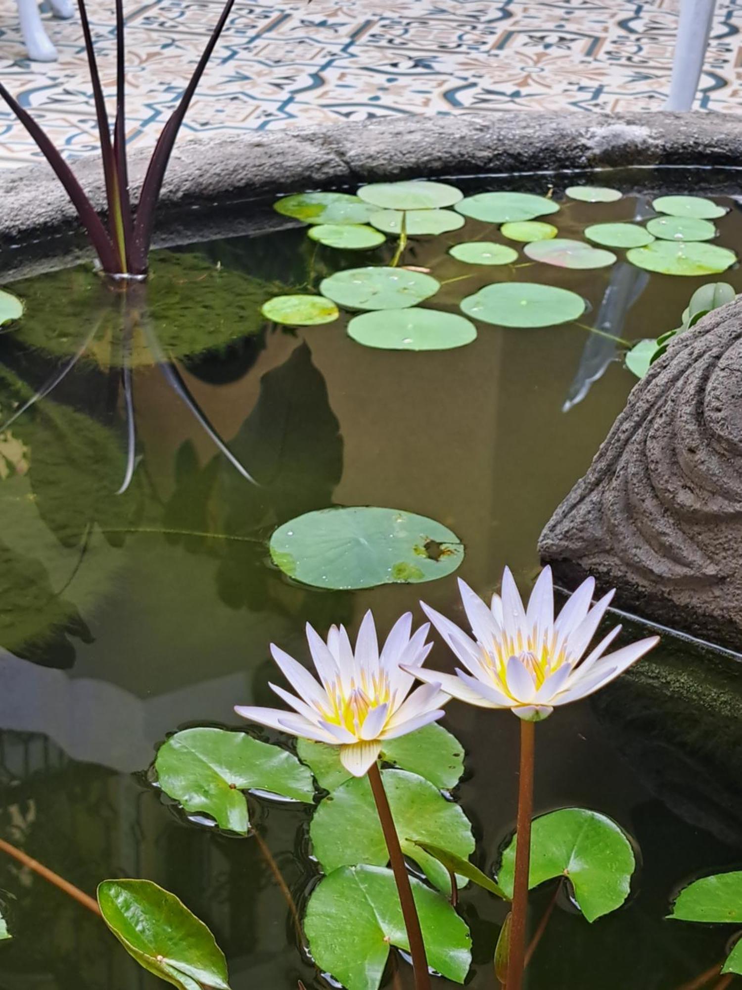 Casa Sileo - Boutique Hotel Cali Kültér fotó